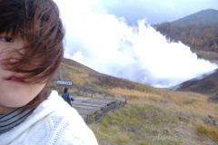 717458b9111edb60993643f2b5b41ff2